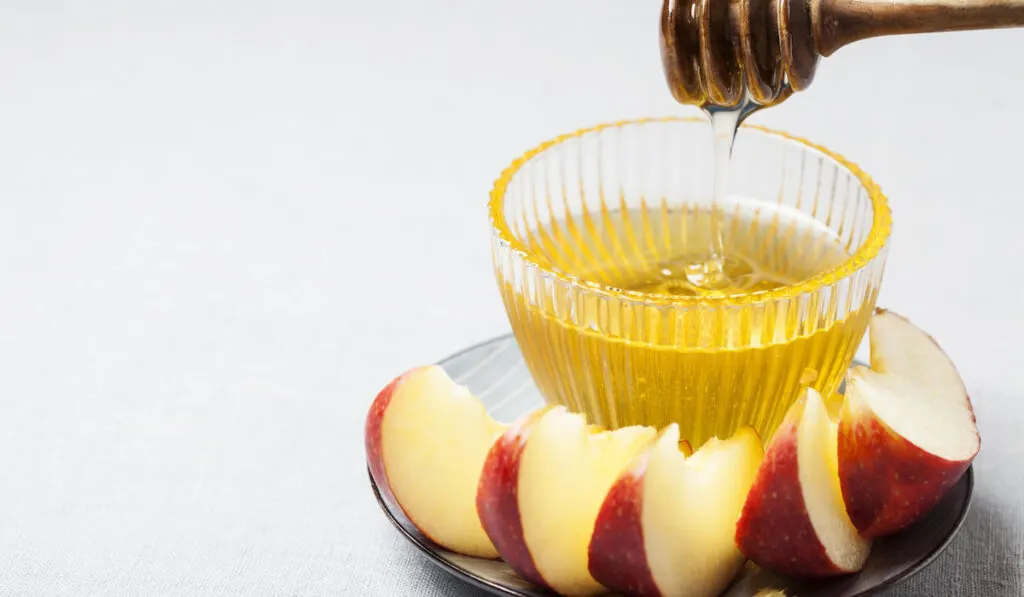 Slices-of-apple-and-jar-of-honey-on-a-plate