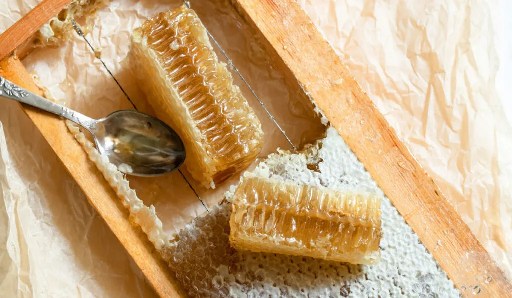 Sliced honeycomb of honey in a wooden frame with spoon