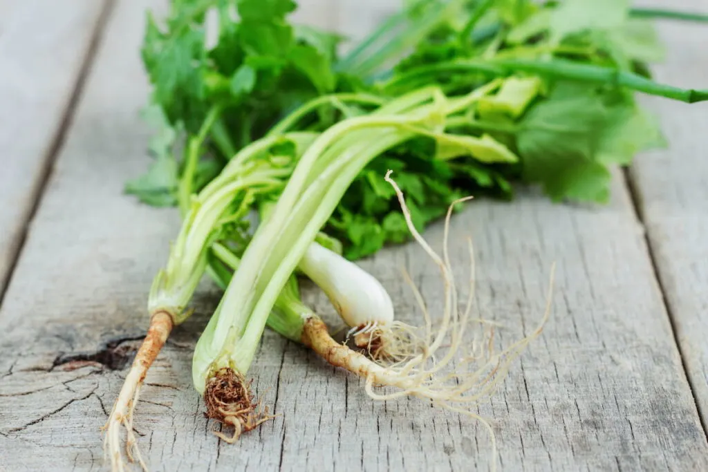 celery on wooden table