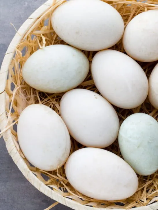 Duck eggs on a cage gray background - ee220816