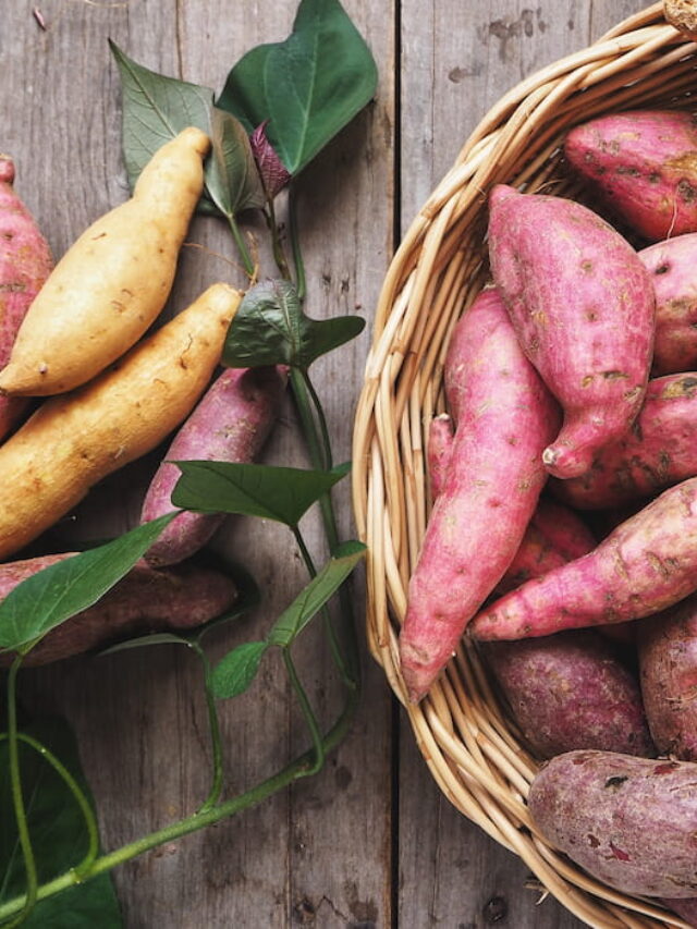 Can Chickens Eat Sweet Potatoes / Yams? The Hip Chick