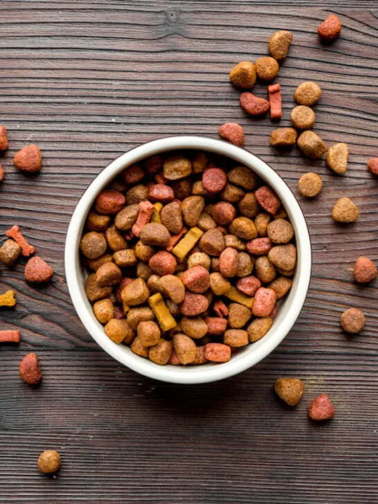 dry dog food in bowl on wooden background top view - ss220816