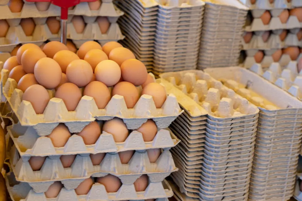 Fresh Chicken Eggs in trays at Local Farmer Markets