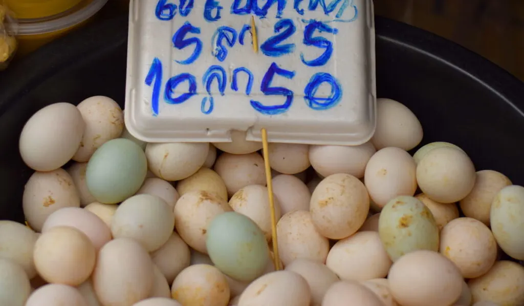 Fresh duck egg sale in basket 