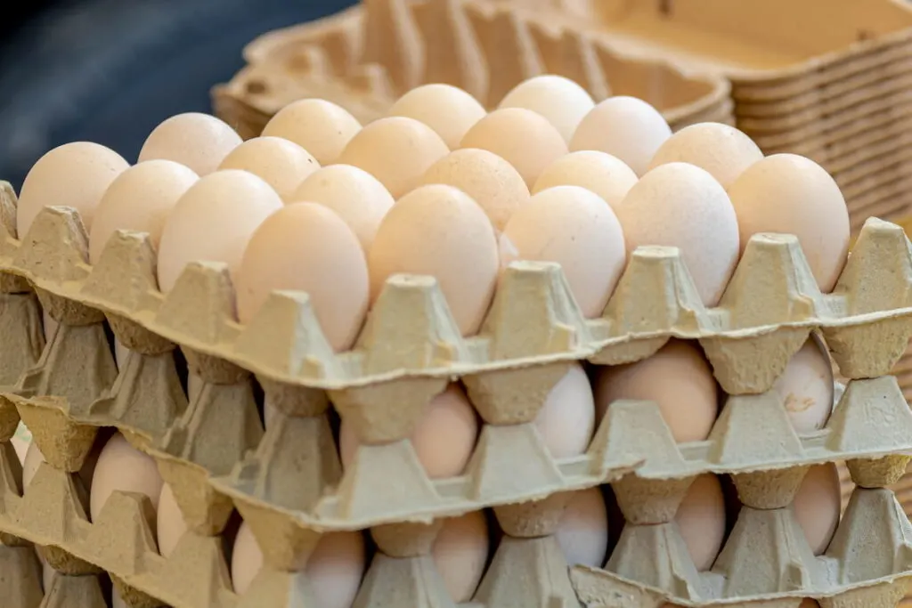 Stacked in layers of fresh white duck eggs in the tray for sale in the market stall