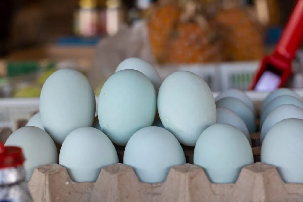  fresh duck egg on egg tray on sale at asian fresh market