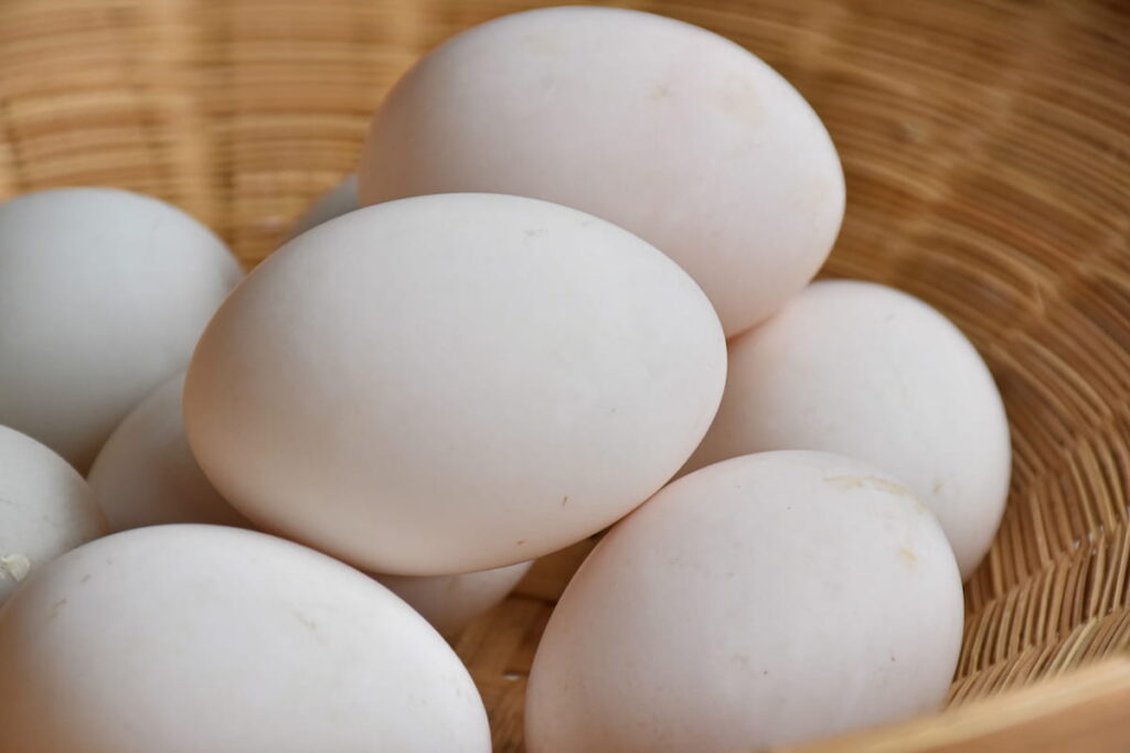 raw dirty duck eggs in the bamboo bowl basket