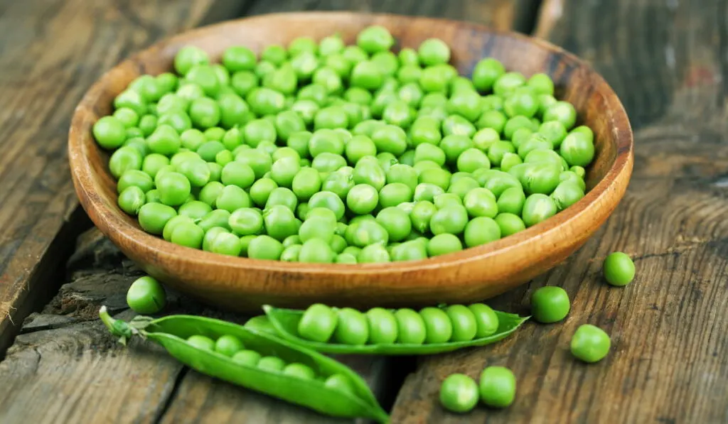 Ripe green peas