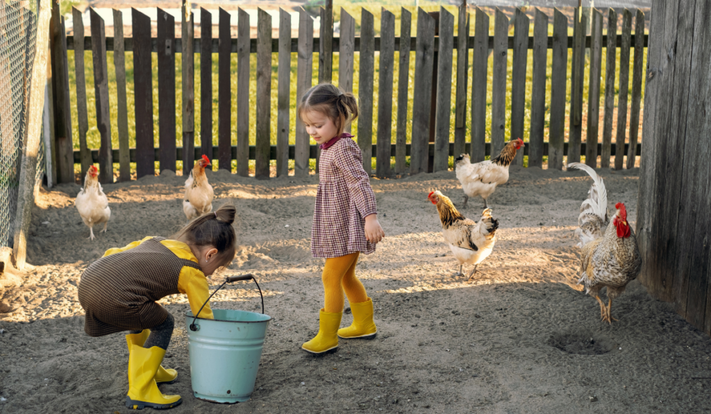 Two children are feeding chickens