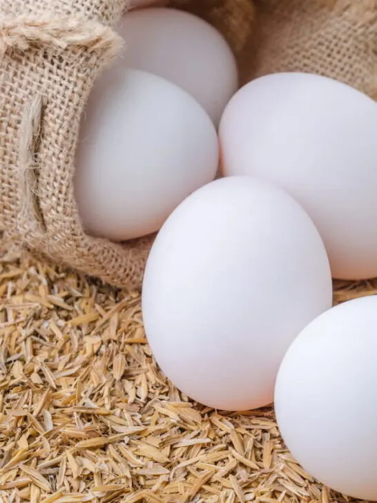 cropped-eggs-of-duck-in-burlap-sack-on-rice-husk-ss221006-1.jpg