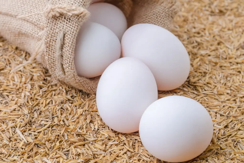 eggs of duck in burlap sack on rice husk