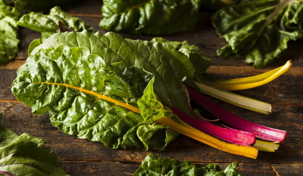 Swiss Chard on the table