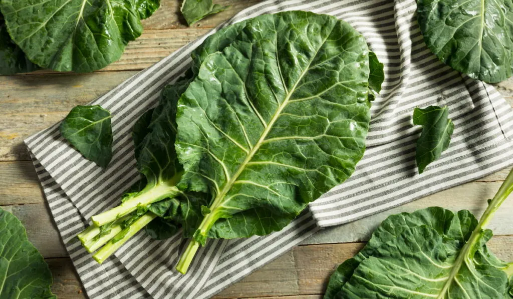 collard green on a striped cloth