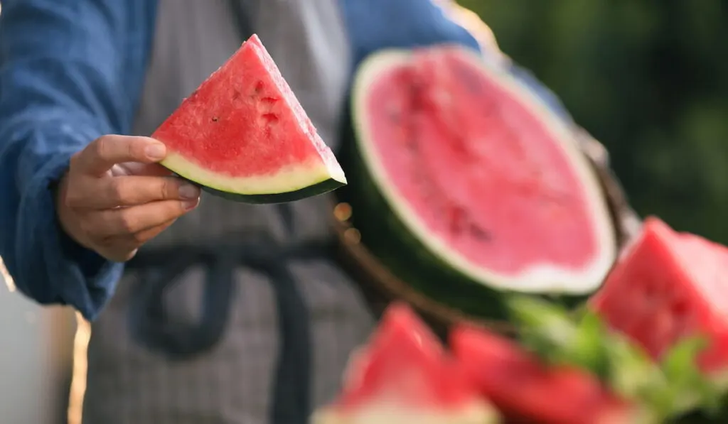 man holding a sliced of watermelon