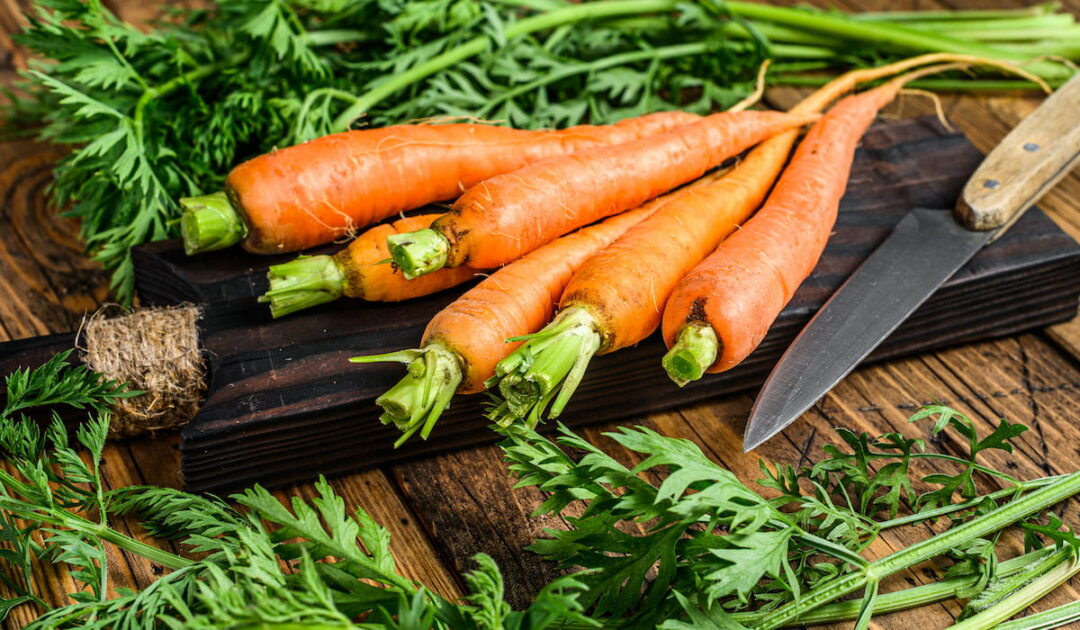 Can Chickens Eat Carrots The Hip Chick