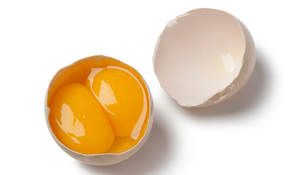 Broken raw double yolk egg in the shell on white background