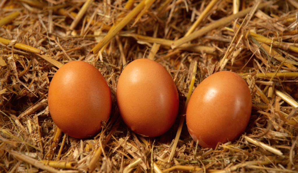 Three village eggs on straw. Side view