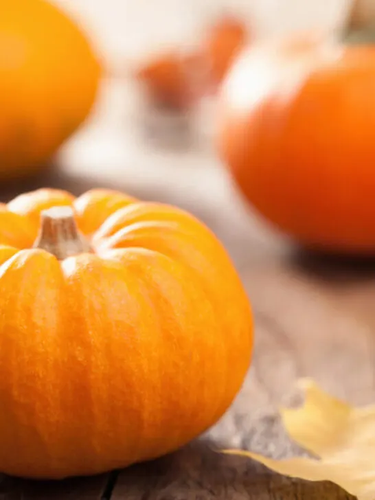 pumpkin on a table with leaves and blurred background