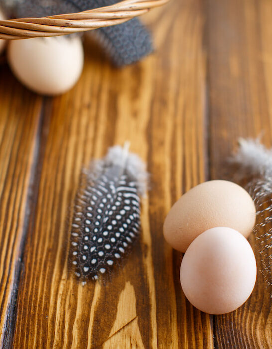 eggs of guinea fowl on wooden table
