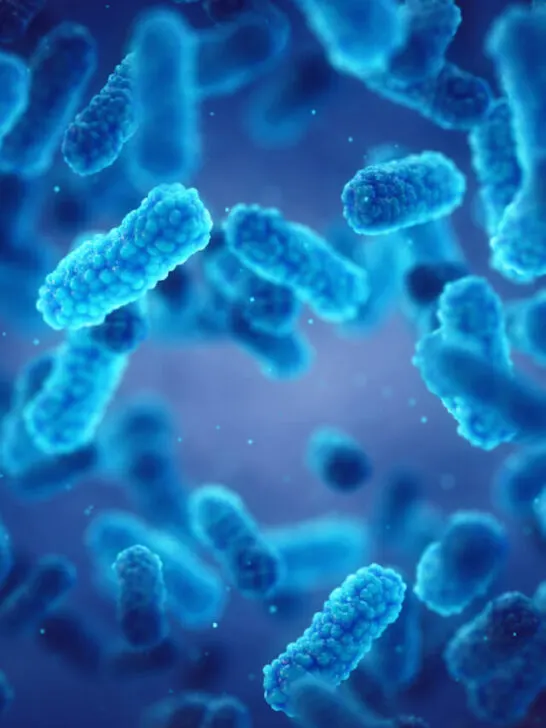 vector image of a bacteria - ss230203