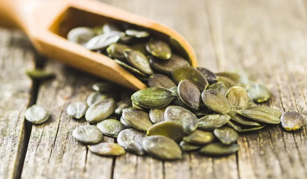 peeled pumpkin seeds