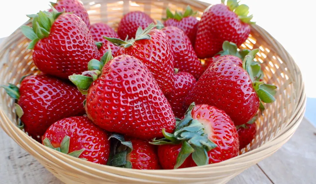 basket of strawberries 