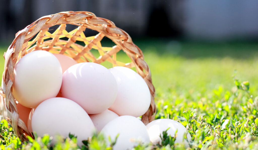 bunch of eggs on a straw basket on a grass