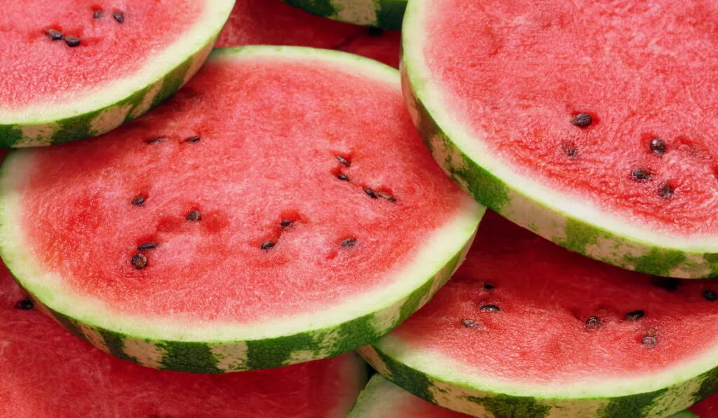 watermelon