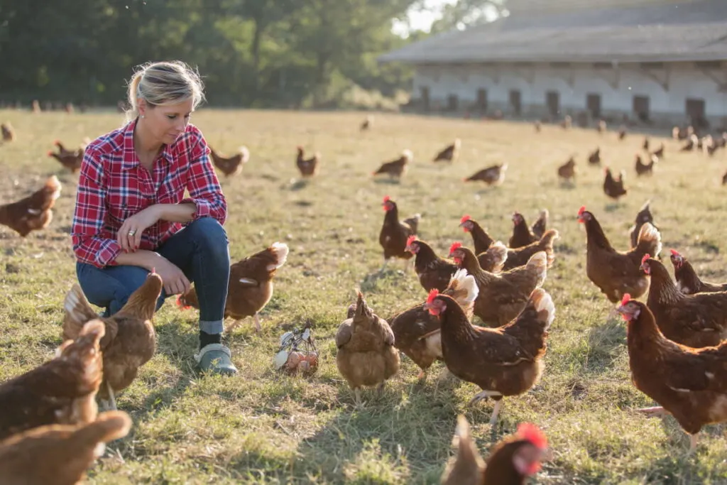 A woman in a checkered long sleeves waiting for the chickens to come closer