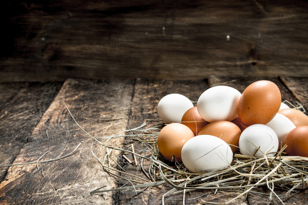 Chicken eggs on the straw. On a wooden background. - ee230412