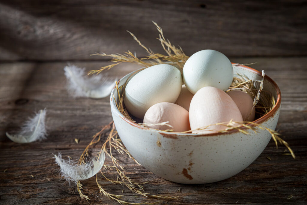 Different color of chicken eggs in a bowl on wooden table