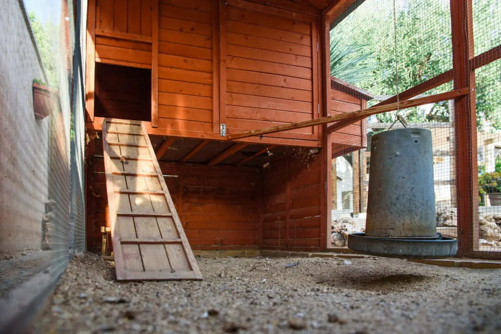 chicken coop in a chicken farm 