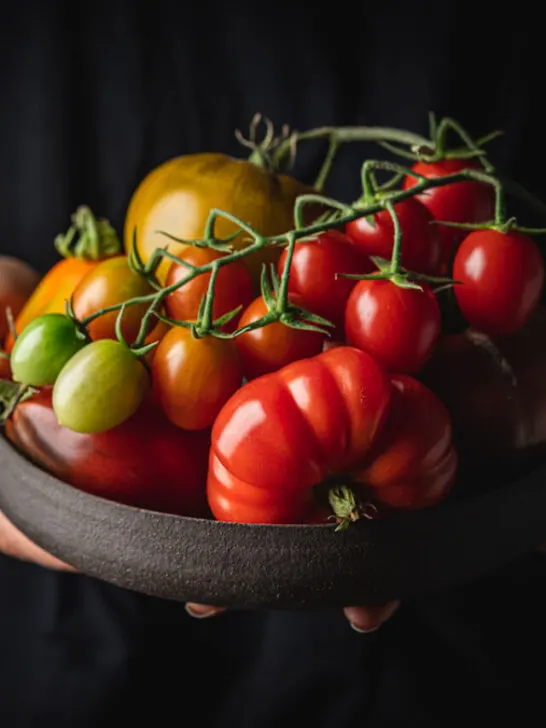 Plate of variety mix colorful tomatoes in woman hands on dark background - ee230412