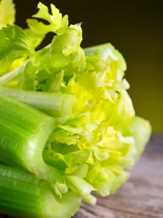 closeup of celery stalks - ss230412