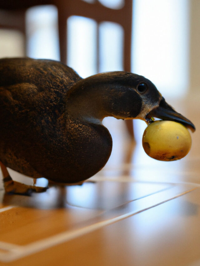 Best Fruits for Ducks The Hip Chick