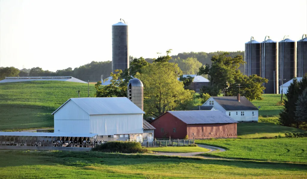 Countryside a rural area of farmland in Michigan