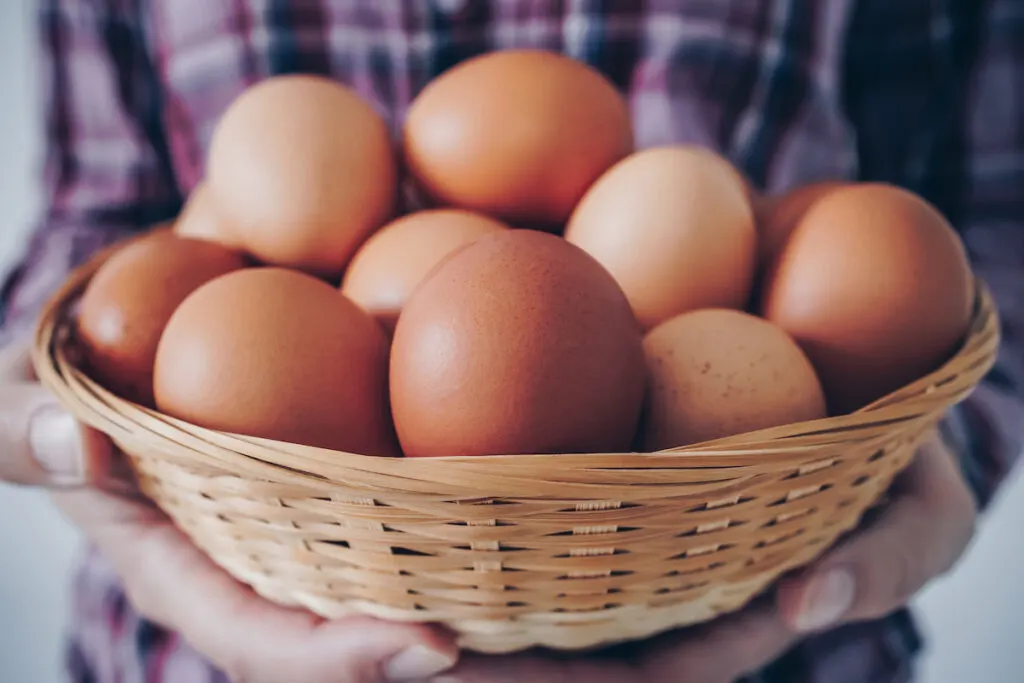 freshly picked chicken eggs in a basket