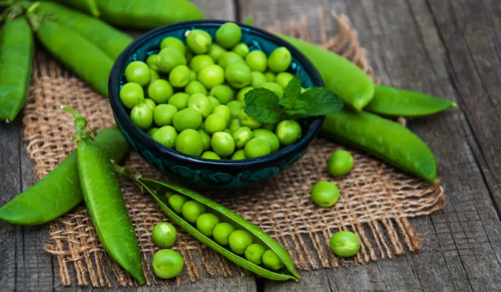 Green peas on the wooden table