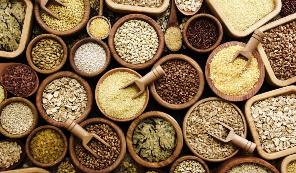 variety of seeds and grains