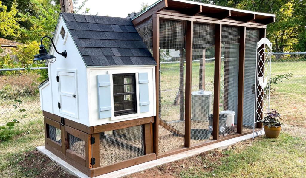 Backyard chicken coop for small flock