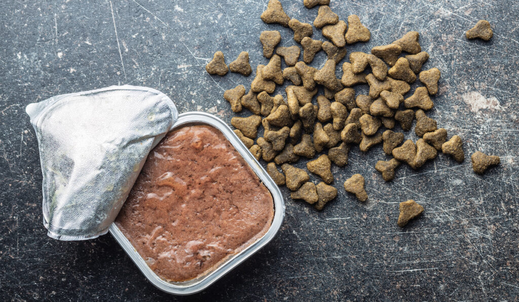 Wet cat food in an open can and dry pet food on dark background