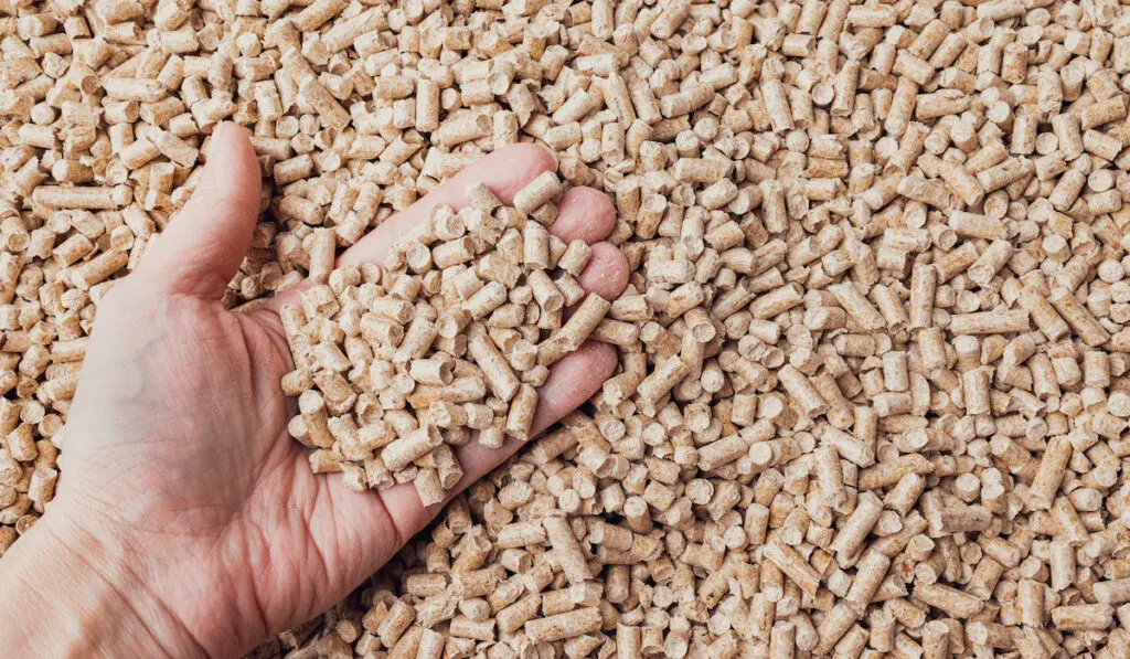 Woman hand full of wood pellets