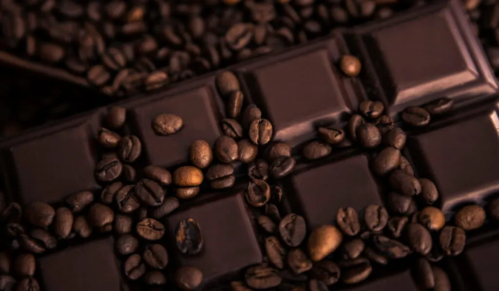 coffee beans and chocolate bar 