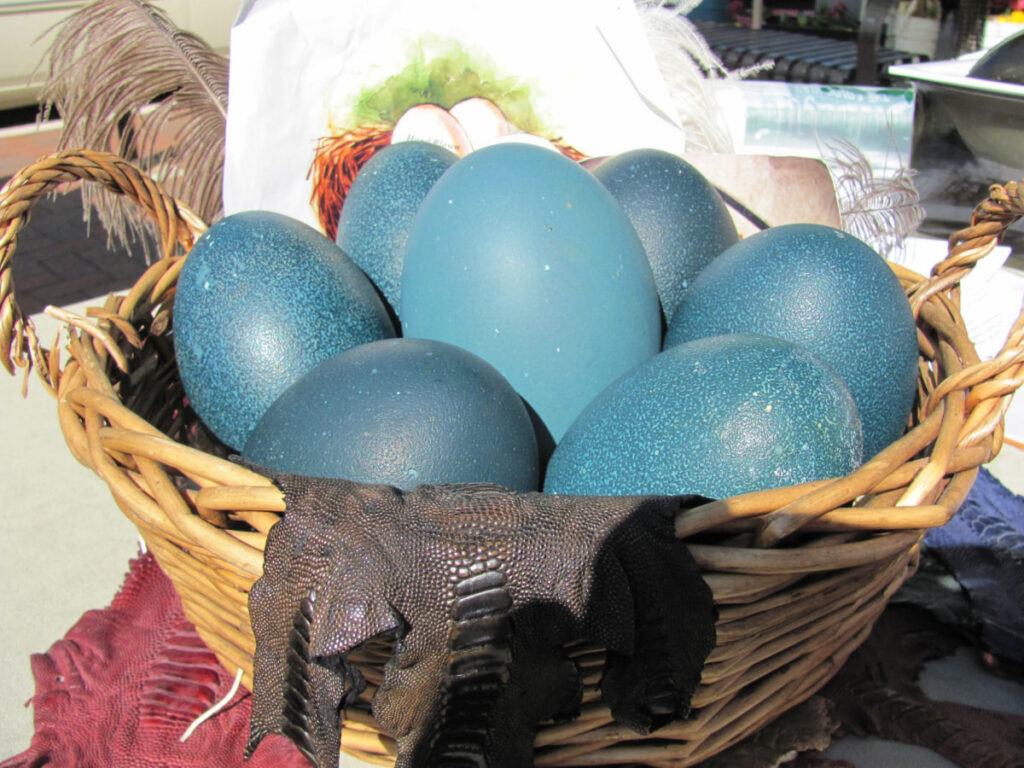 green emu egg in a basket