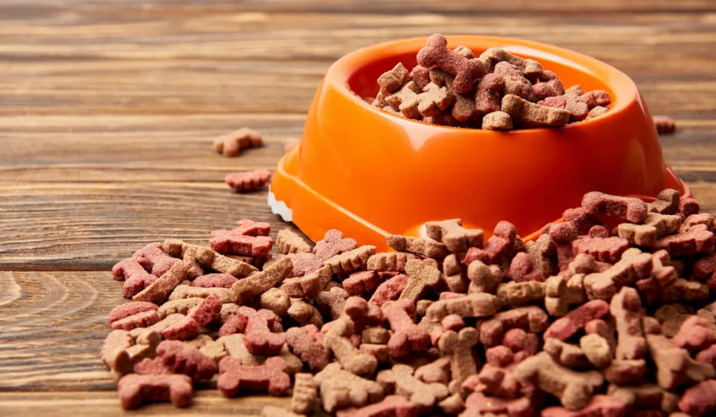 pile of dog food 