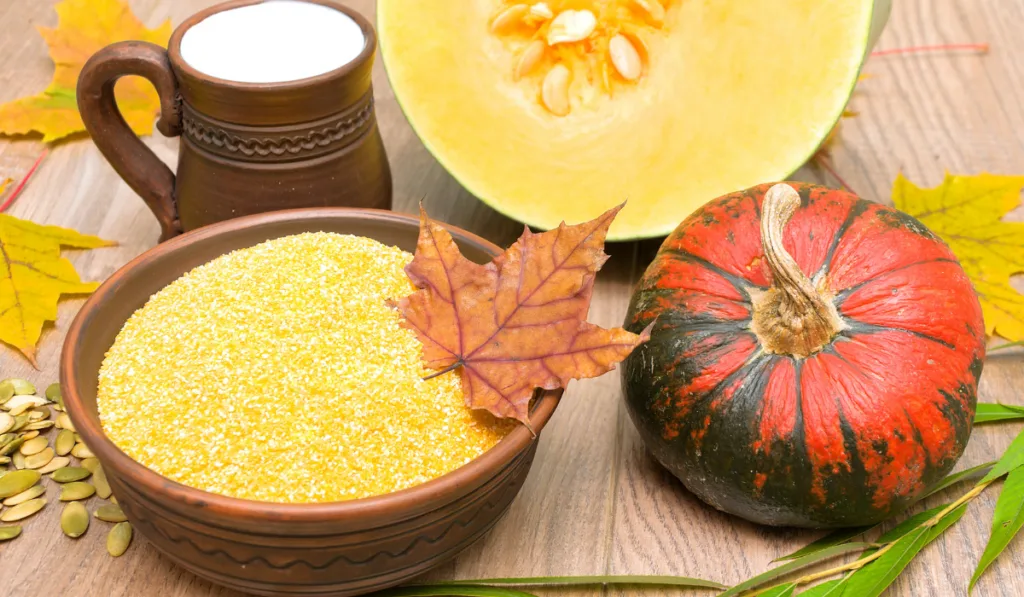 corn grits, ripe pumpkin and milk in a clay mug on wooden boards