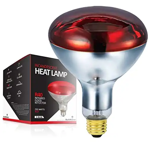 BULBMASTER 250 Watts R40 Red Heat lamp Flood Light Bulbs
