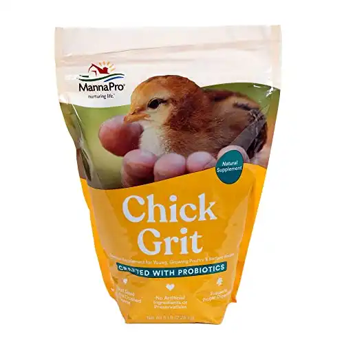 can-baby-chicks-eat-mealworms-the-hip-chick