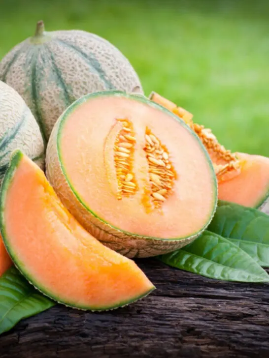 Cantaloupe melons on a wooden table in the garden