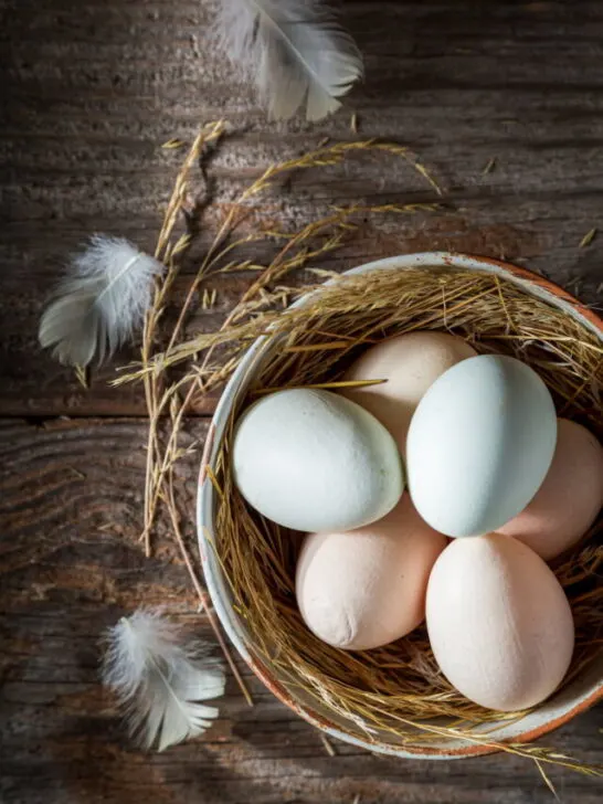 duck eggs in a bowl with straws